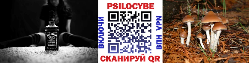 Псилоцибиновые грибы Magic Shrooms  Слободской 